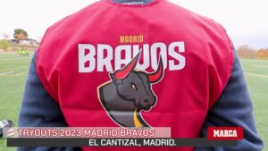 Los toros desde la barrera