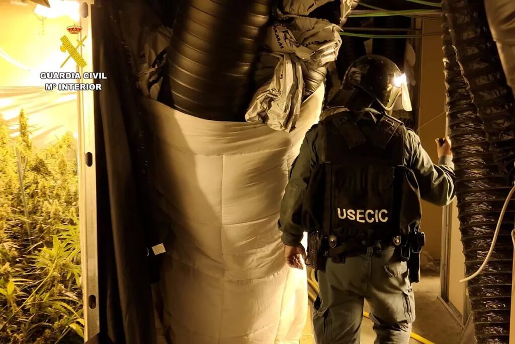 La Guardia Civil encuentra ms de 9.000 plantas de marihuana en una nave que tena hasta un tnel de 15 metros