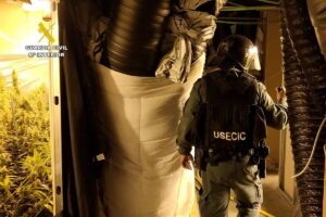 La Guardia Civil encuentra ms de 9.000 plantas de marihuana en una nave que tena hasta un tnel de 15 metros