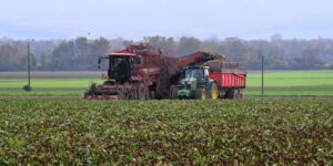 La Francia pobre y rural se «reconvierte» en la producción y consumo de drogas