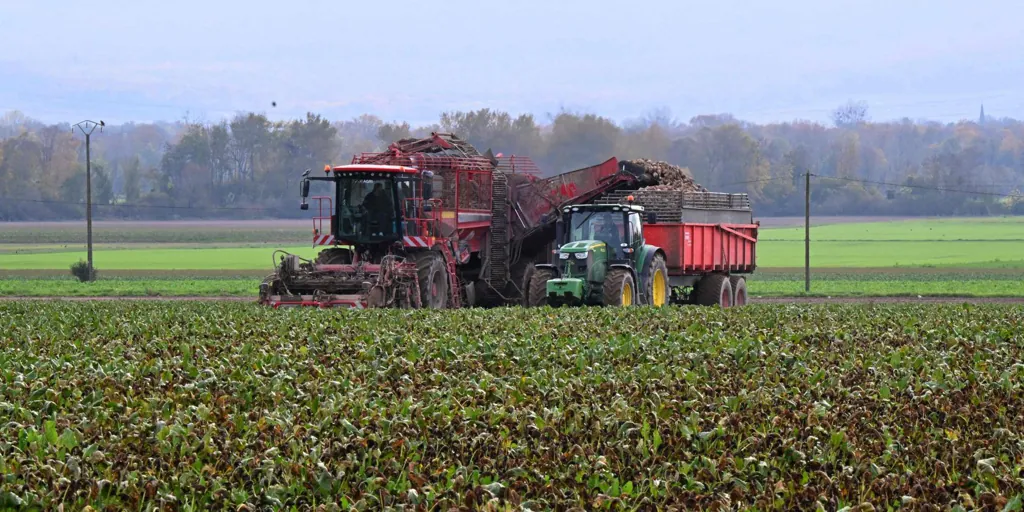 La Francia pobre y rural se «reconvierte» en la producción y consumo de drogas