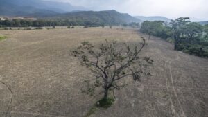 Ideam confirma fenómeno de El Niño fuerte a muy fuerte en Colombia