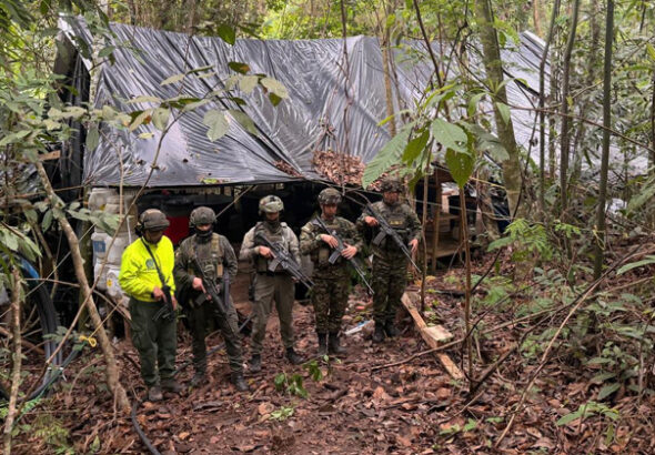 Destruyen complejo del Eln que producía cocaína en Sardinata