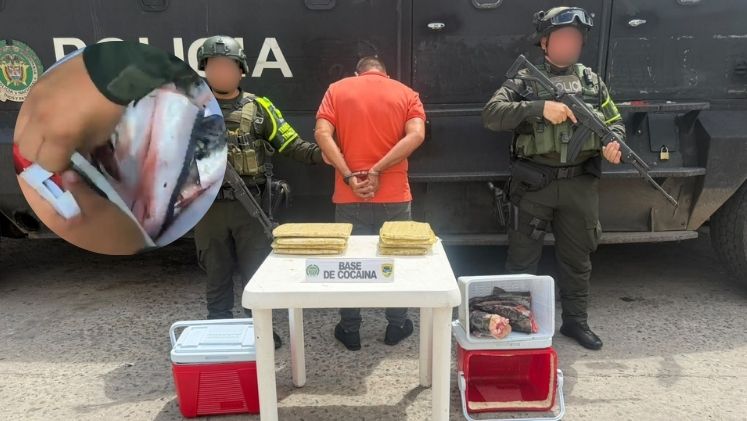 El intento fallido de camuflar drogas con pescado en la vía Cúcuta-Sardinata