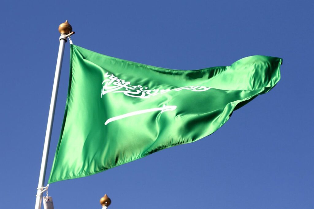 Pakistán, Egipto, Turquía y Arabia Saudí condenan los ataques de los hutíes contra Riad