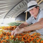así se benefician las mujeres rurales