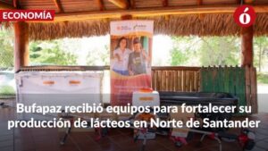 proyecto de firmantes de paz en Cúcuta recibe más de  millones